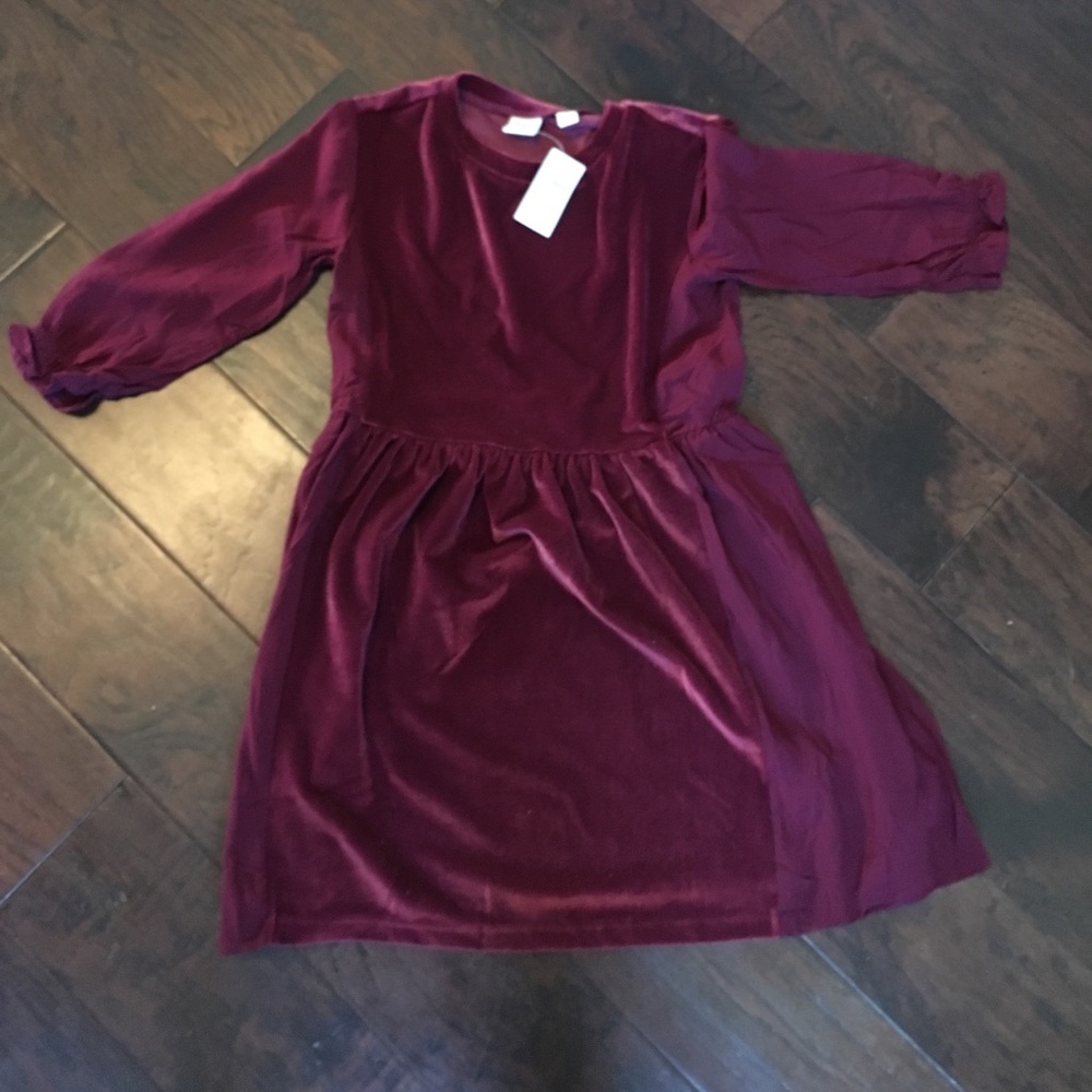GAP Velvet Dress